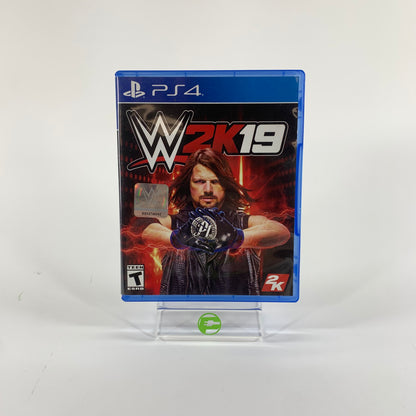 WWE 2K19 (Sony PlayStation 4 PS4, 2018)